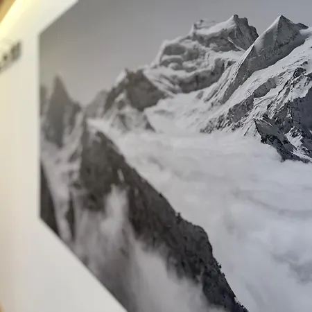 Athénée 15 By Hbv Appartement *